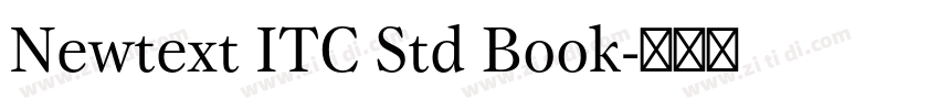 Newtext ITC Std Book字体转换